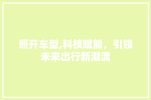 照开车型,科技赋能，引领未来出行新潮流