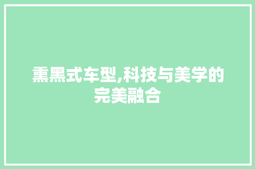熏黑式车型,科技与美学的完美融合