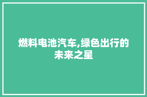 燃料电池汽车,绿色出行的未来之星