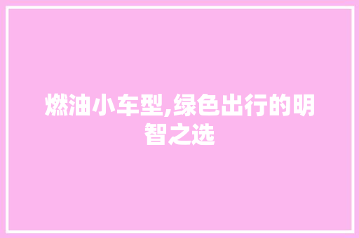 燃油小车型,绿色出行的明智之选