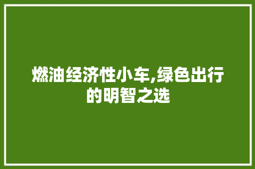 燃油经济性小车,绿色出行的明智之选