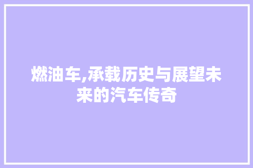 燃油车,承载历史与展望未来的汽车传奇