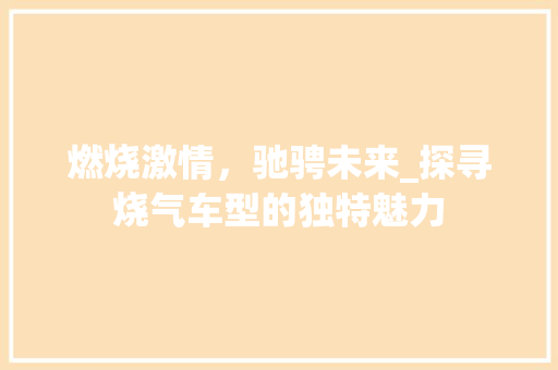 燃烧激情，驰骋未来_探寻烧气车型的独特魅力