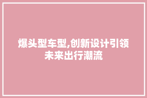 爆头型车型,创新设计引领未来出行潮流