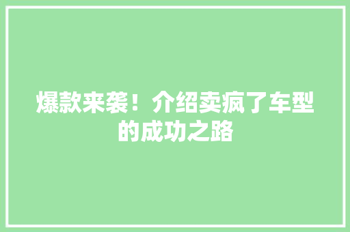 爆款来袭！介绍卖疯了车型的成功之路