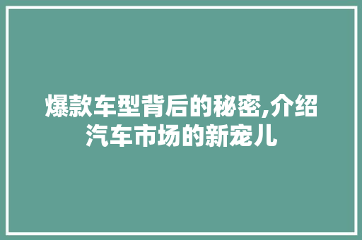 爆款车型背后的秘密,介绍汽车市场的新宠儿 变速箱配件