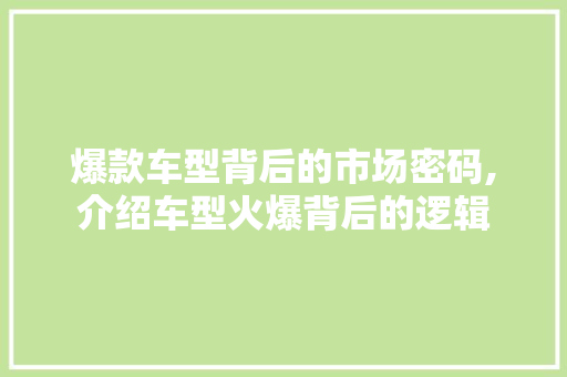 爆款车型背后的市场密码,介绍车型火爆背后的逻辑