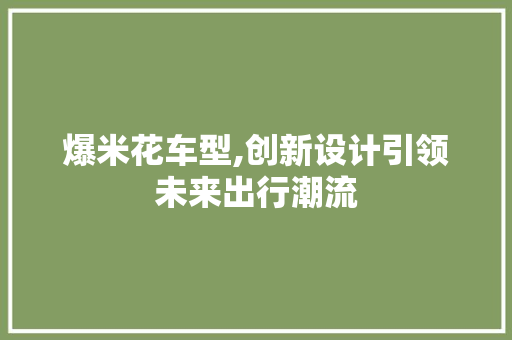 爆米花车型,创新设计引领未来出行潮流