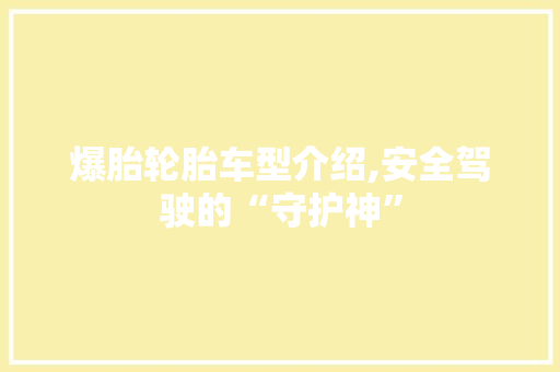 爆胎轮胎车型介绍,安全驾驶的“守护神”