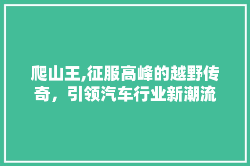 爬山王,征服高峰的越野传奇，引领汽车行业新潮流