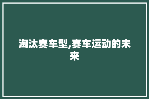淘汰赛车型,赛车运动的未来 蓄电池配件
