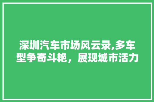 深圳汽车市场风云录,多车型争奇斗艳，展现城市活力