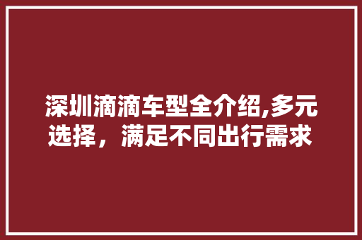 深圳滴滴车型全介绍,多元选择，满足不同出行需求