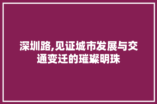 深圳路,见证城市发展与交通变迁的璀璨明珠