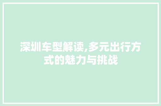 深圳车型解读,多元出行方式的魅力与挑战