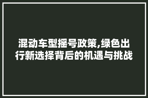 混动车型摇号政策,绿色出行新选择背后的机遇与挑战