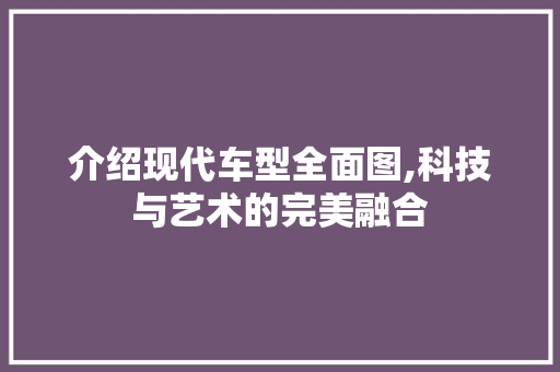 介绍现代车型全面图,科技与艺术的完美融合