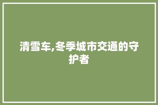 清雪车,冬季城市交通的守护者