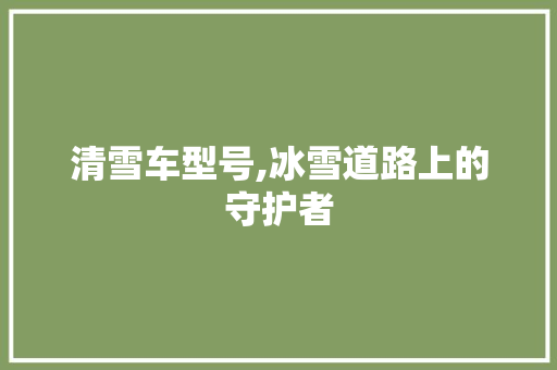 清雪车型号,冰雪道路上的守护者
