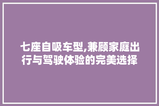 七座自吸车型,兼顾家庭出行与驾驶体验的完美选择