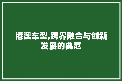 港澳车型,跨界融合与创新发展的典范