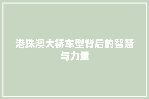 港珠澳大桥车型背后的智慧与力量