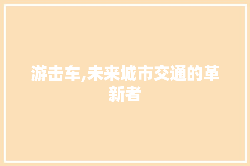 游击车,未来城市交通的革新者
