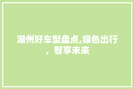 湖州好车型盘点,绿色出行，智享未来