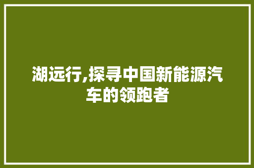 湖远行,探寻中国新能源汽车的领跑者
