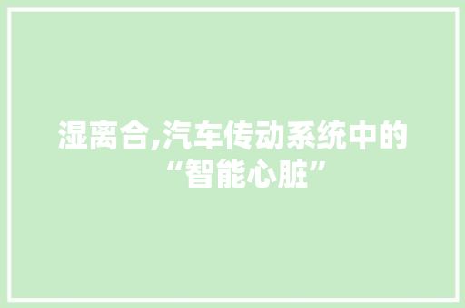 湿离合,汽车传动系统中的“智能心脏” 变速箱配件