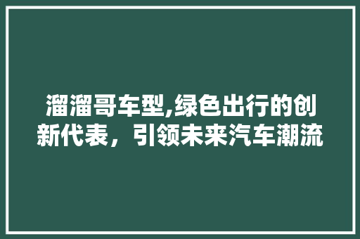 溜溜哥车型,绿色出行的创新代表，引领未来汽车潮流