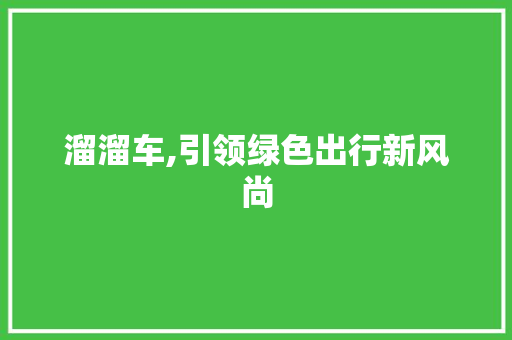 溜溜车,引领绿色出行新风尚