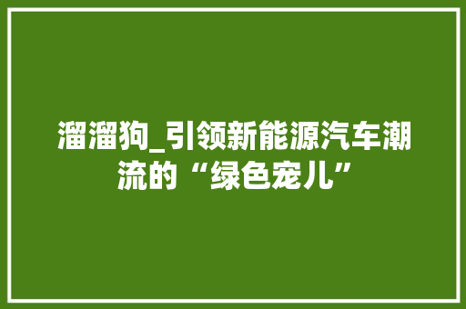 溜溜狗_引领新能源汽车潮流的“绿色宠儿”