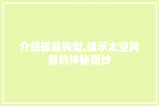 介绍磁暴钩型,提示太空风暴的神秘面纱