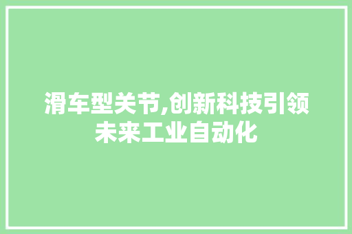 滑车型关节,创新科技引领未来工业自动化