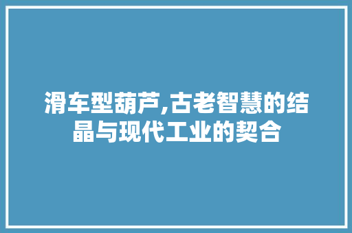 滑车型葫芦,古老智慧的结晶与现代工业的契合