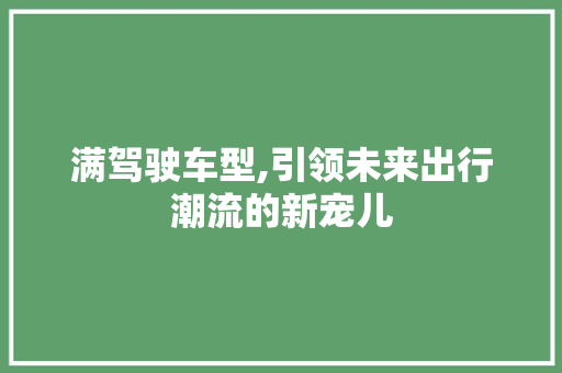 满驾驶车型,引领未来出行潮流的新宠儿 底盘配件