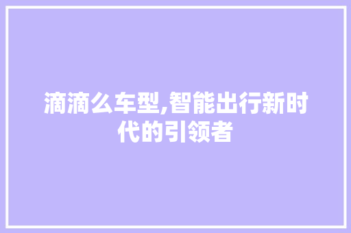 滴滴么车型,智能出行新时代的引领者