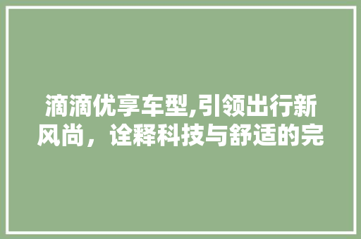 滴滴优享车型,引领出行新风尚，诠释科技与舒适的完美融合