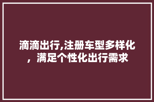 滴滴出行,注册车型多样化，满足个性化出行需求