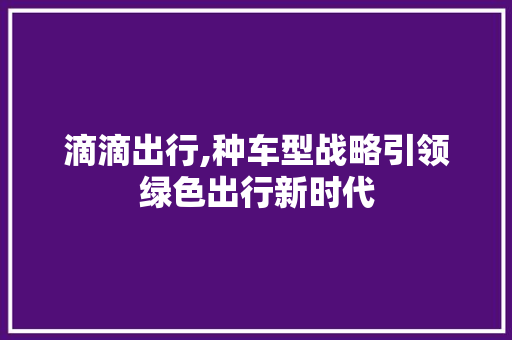 滴滴出行,种车型战略引领绿色出行新时代