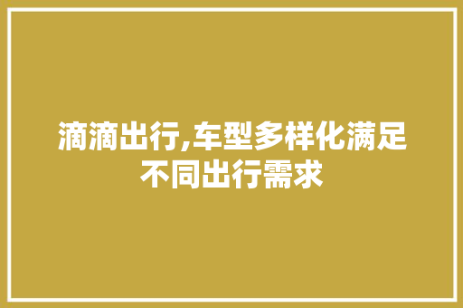 滴滴出行,车型多样化满足不同出行需求