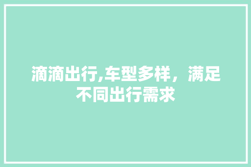 滴滴出行,车型多样，满足不同出行需求