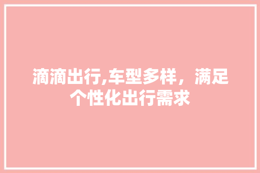滴滴出行,车型多样，满足个性化出行需求