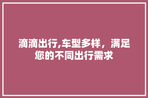 滴滴出行,车型多样，满足您的不同出行需求
