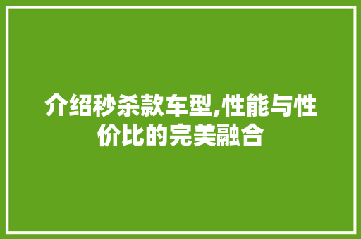 介绍秒杀款车型,性能与性价比的完美融合