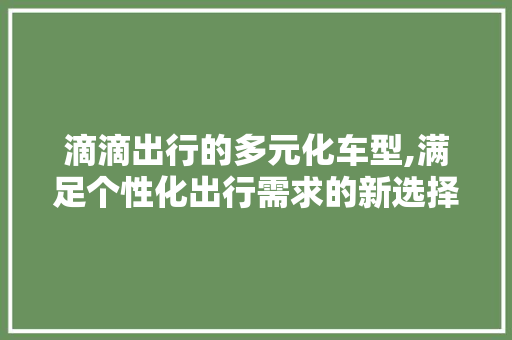 滴滴出行的多元化车型,满足个性化出行需求的新选择 汽车配件