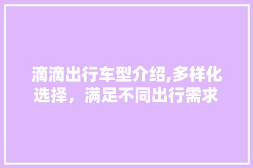 滴滴出行车型介绍,多样化选择，满足不同出行需求 车身配件