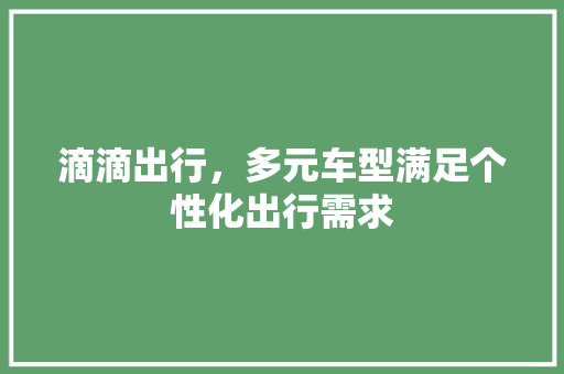 滴滴出行，多元车型满足个性化出行需求 蓄电池配件