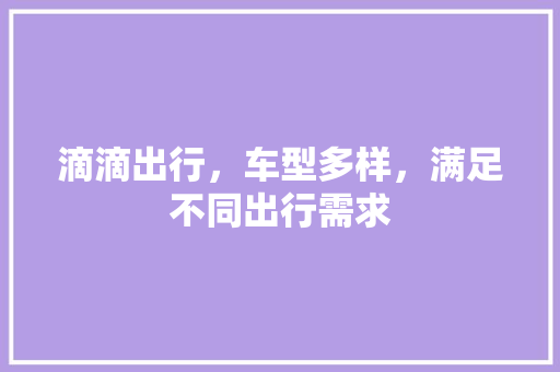 滴滴出行，车型多样，满足不同出行需求 车灯配件